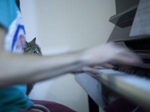 reportage_fibrosi_cistica